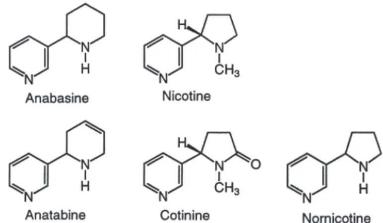 Figure 1 - Structures chimiques des principaux alcaloïdes du tabac  8%1,2#$9$#:2(;5,#''#$0%,1&#34;&lt;2%&#34;$