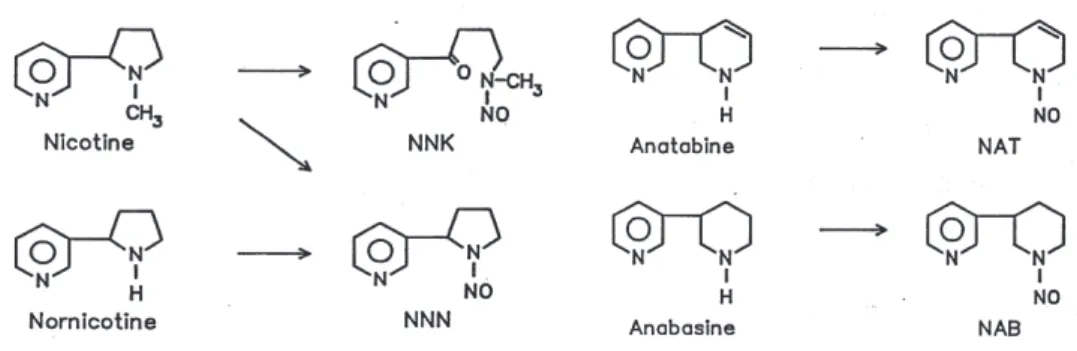 Figure 3 – Structures chimiques des nitrosamines spécifiques du tabac   8%1,2#$9$&gt;%4522%?%21&#34;#&amp;'-&lt;%,;$