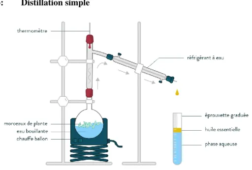 Figure 3:  Distillation simple 