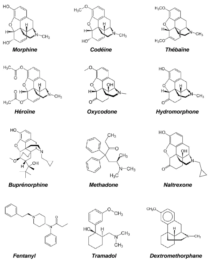 Figure 3 : Représentation chimique opioïdes  https://pubchem.ncbi.nlm.nih.gov