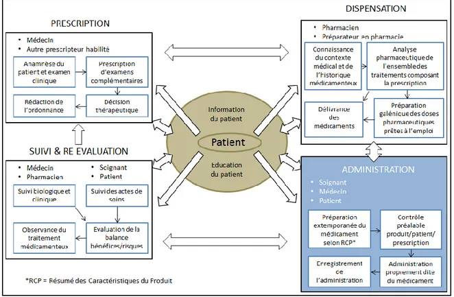 Figure 1: Représentation schématique de la prise en charge médicamenteuse au sein du CHU de Grenoble