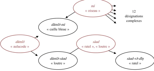 Fig. 4 L’oiseau, l’aulacode, le ratel et la loutre 