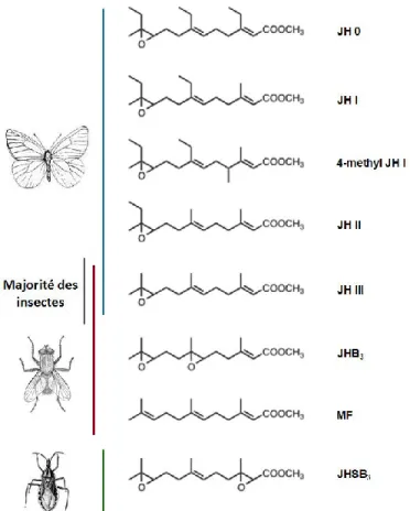 Figure 1. Structure des huit formes de JH connues chez les insectes. La JH III est produite  chez la majorité des insectes
