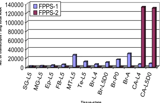 Figure 14. Analyse par PCR quantitative en temps réel de l’abondance des transcrits de la  FPPS-1 et  de la FPPS-2 dans différents  tissus  de larves et  d’adulte de  Bombyx mori