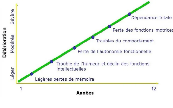 Figure 2: Évolution de la MA dans le temps