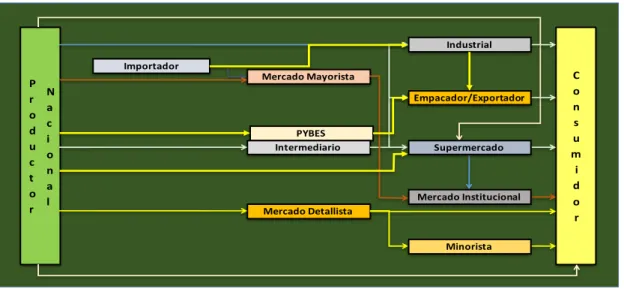 Figura 2. Estructura de la cadena de frutas en El Salvador. 