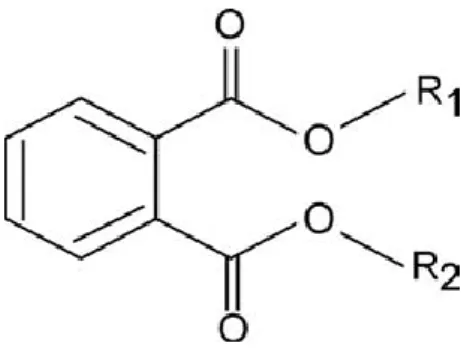 Figure 2 : Structure chimique de base des phtalates  [16]