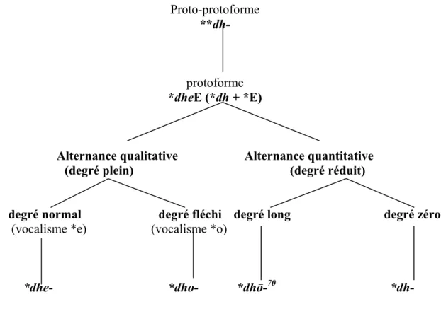 Figure 3 : Etymon Primitif de  DO  et alternance vocalique. 