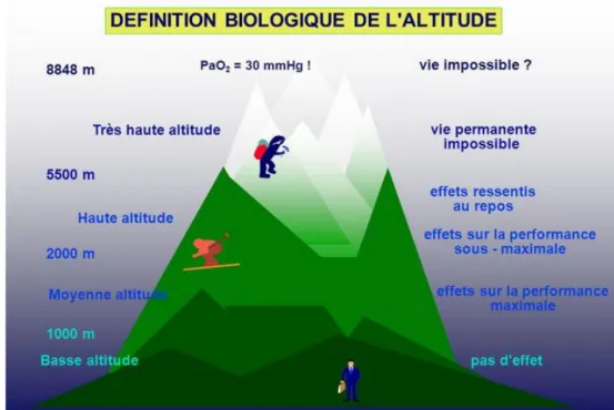 Figure N°1 : Définition biologique de l’altitude(2) 