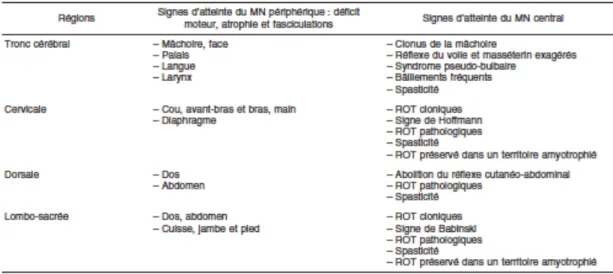 Tableau 2 – Signes d’atteinte du motoneurone central et périphérique dans quatre  régions du système nerveux (critères révisés d’El Escorial) (Brooks et al., 2000) 
