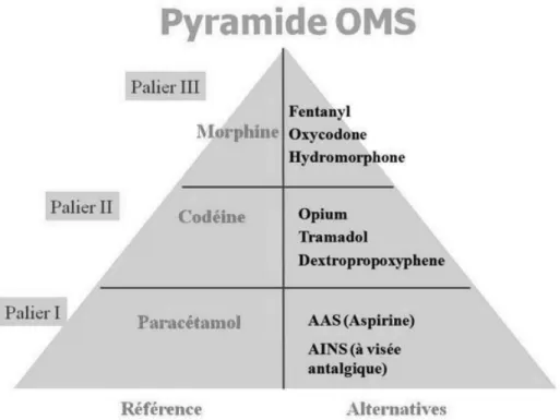 Figure 1 – Pyramide de la douleur selon l’OMS 