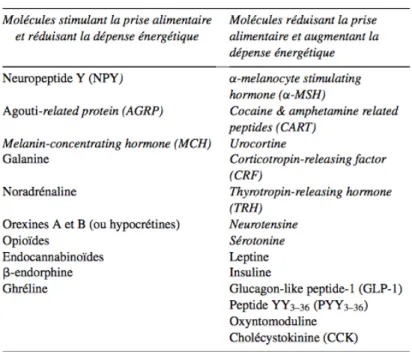 Tableau   1:   :   Principaux   signaux   centraux   (en   italique)   et   circulants   impliqués   dans   la   régulation   de   la   prise   alimentaire,        d'après   Luquet   S.,   2008