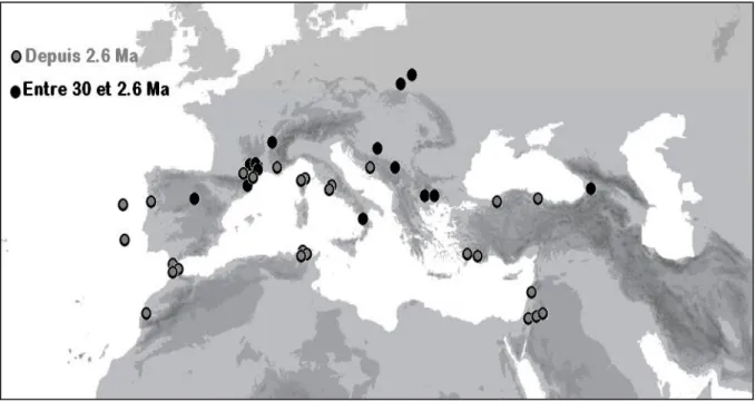 Figure  16:  Localisation  de  fossiles  de  plantes  et  de  pollen  de  Myrtus  (nivellei  et  communis)   selon Migliore et al [38] 