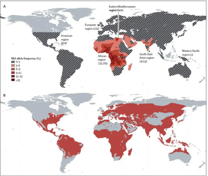 Figure 22 : Comparaison de la distribution géographique de la drépanocytose (A)  et du paludisme (B) dans le monde 