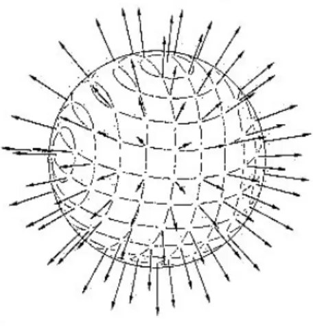 Figure 2.1 – Solution hérisson dans l’espace R 3 . La sphère des champs π i s’y retrouve ainsi que l’orientation du vecteur φ j 