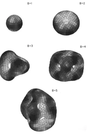 Figure 2.3 – Solutions numériques du modèle de Skyrme original telles qu’obtenues par Braaten, Townsend et Carson dans [17]