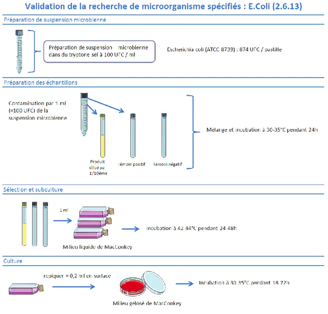 Figure 19 : Procédé de validation de la recherche d'E. coli 