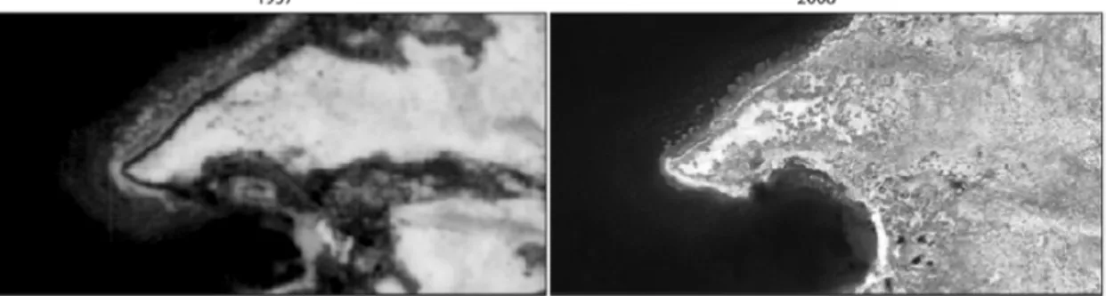 Figure 1.1. Évolution du couvert arbustif sur une terrasse de la rivière Boniface entre 1957 (photographie  aérienne, à gauche) et 2008 (image satellitaire WorldView-1, à droite)