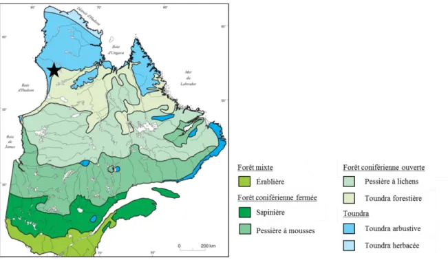 Figure 2.1. Principales zones de végétation du Québec et du Labrador. L’écotone forêt boréale-toundra (ou  toundra forestière) est représenté en vert pâle