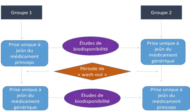 Figure 3  : Schéma d’une étude de bioéquivalence classique.