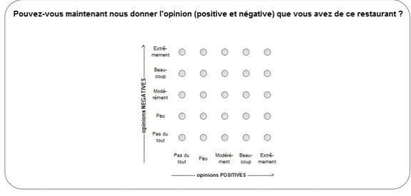 Figure 19. Item et outil de mesure utilisés pour évaluer les corpus de commentaires de  consommateurs dans la condition Evaluative Space Grid 