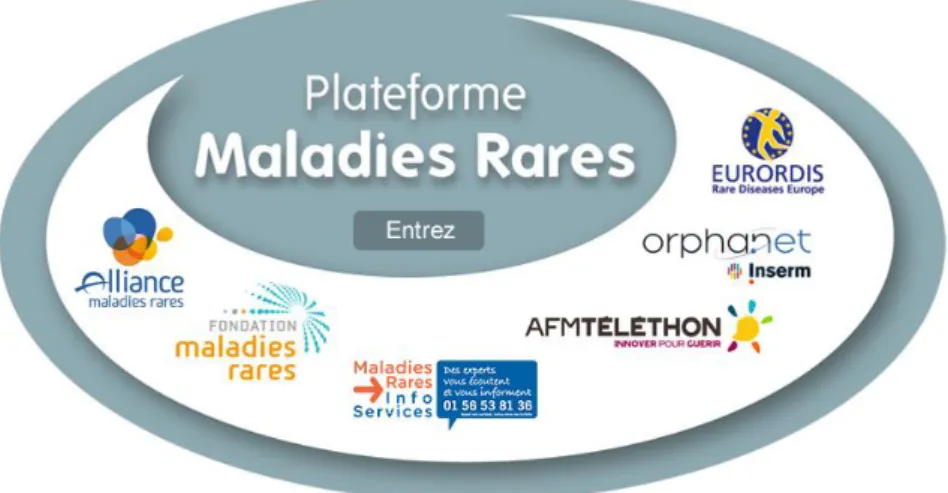 Figure 2 : Plateforme Maladies Rares 