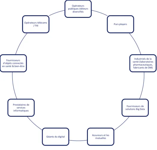 FIGURE 6 : LES NEUF TYPES D’ACTEURS DE L’E-SANTE 