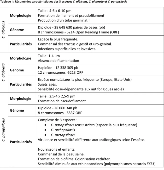 Tableau I : Résumé des caractéristiques des 3 espèces C. albicans, C. glabrata et C. parapsilosis 