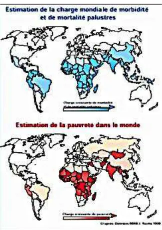 Figure 2: Morbi-mortalité palustre et pauvreté dans le monde   Source: Roll Back Malaria (www.rollbackmalaria .org)  