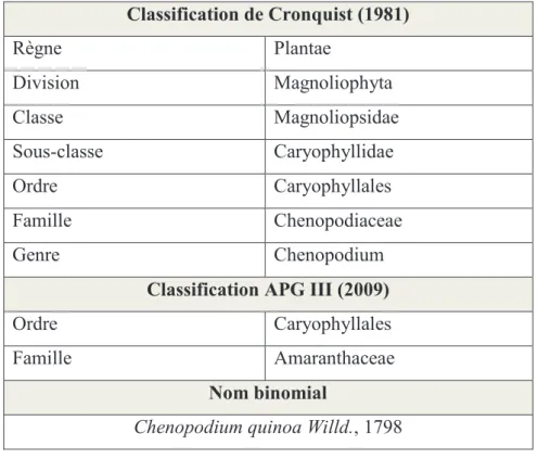 Tableau 1: Classification scientifique du quinoa 