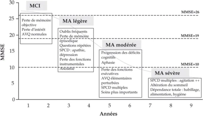 Figure 10:  Progression  des  symptômes  de  la  maladie  d’Alzheimer  (d’après  Feldman  et  Woodward,  2005),  MMSE :  Mini  Mental  State  Examination ;  MCI :  Mild  Cognitive  Impairment ;  MA :  Maladie  d’Alzheimer ;  AVQ :  Activités  de  la  vie  