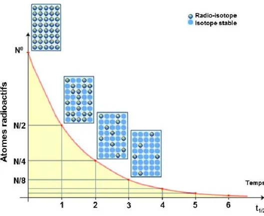 Figure 4 : Représentation schématique du temps de demi-vie 