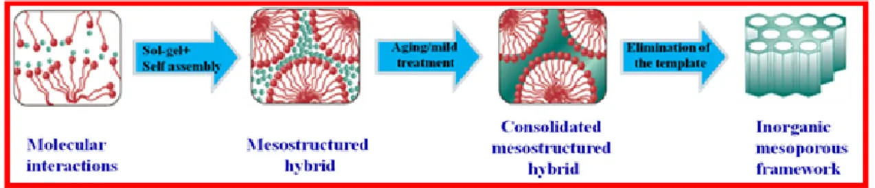 Figure 1.3 A simplistic mechanistic pathway showing the self assembly of formation of mesoporous materials 