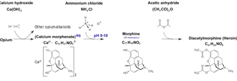 Figure 8 : Synthèse de l’héroïne (Référence F) 