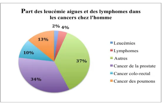 Figure 3 : Part des leucémies aiguës et des lymphomes dans les cancers chez l'homme 13