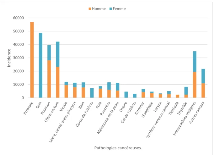 Figure n°4 : Incidence des cancers en 2012, en France, en fonction de la localisation et du  sexe (Source INCa) 