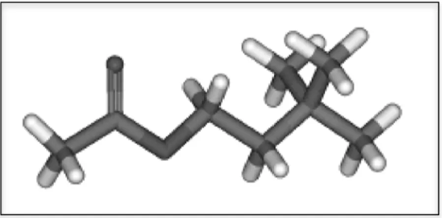 Figure 11 : Forme moléculaire du Donépézil (AriceptÒ)  D’après www.fr.academic.ru 