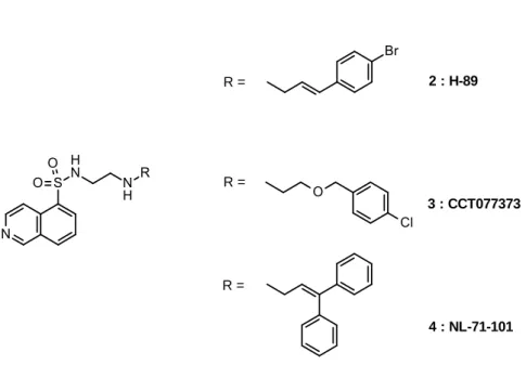Figure 3 : Structure des composés 1-3 de type isoquinoline-5-sulfonamide. 