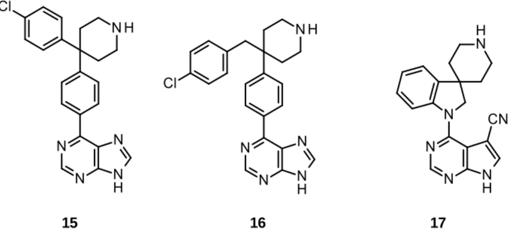 Figure 6 : Structure des phénylpurines et pyrrolopyrimidines 15-17. 
