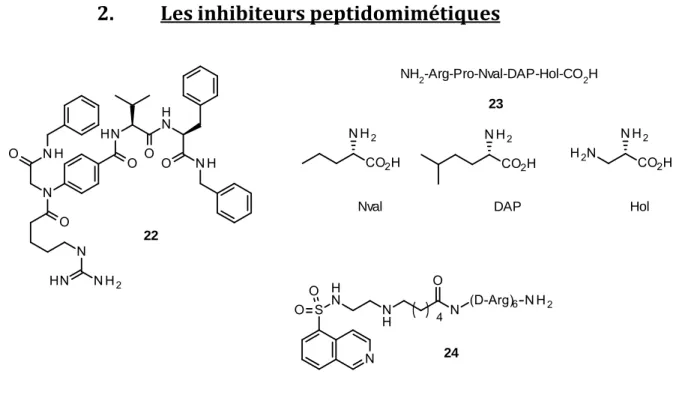 Figure 8 : Structure des substrats peptidomimétiques 22-24. 