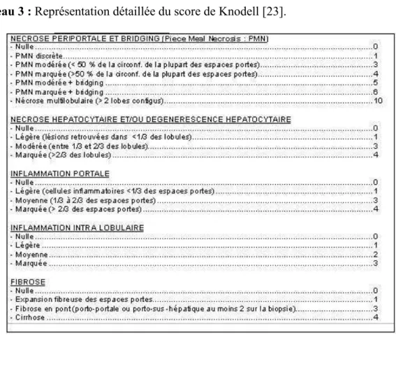 Tableau 3 : Représentation détaillée du score de Knodell [23].