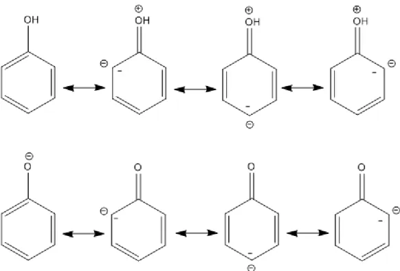 Figure 23: Les formes mésomères du phénol et de sa base conjuguée (ion phénate).(Sarni-Manchado &amp; 