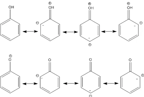 Figure 23: Les formes mésomères du phénol et de sa base conjuguée (ion phénate).(Sarni-Manchado &amp; 