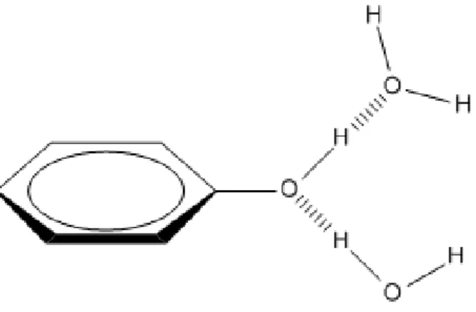 Figure 24: Phénol en interaction par liaisons hydrogènes avec 2 molécules d'eau. 