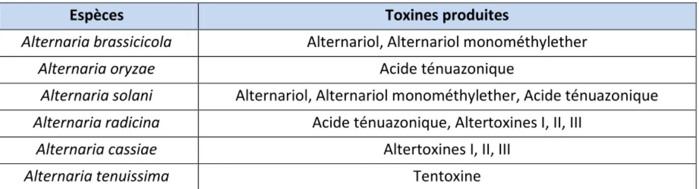 Figure 20 : Quelques toxines produites suivant l’espèce d’Alternaria (59, 60, 61) 