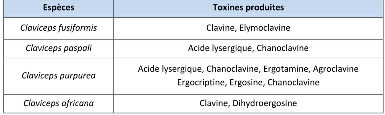 Figure 22 : Quelques alcaloïdes produits suivant l’espèce de Claviceps (63, 65) 