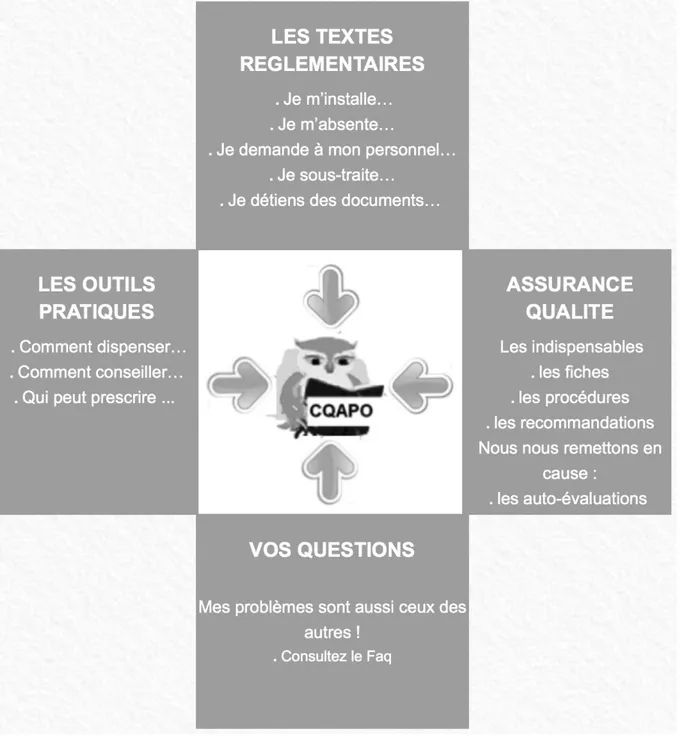 Figure 9 : Page d’accueil site CQAPO  [S] 