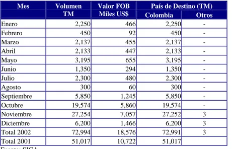 Cuadro No. 19 Destino de las exportaciones de Soya en el 2002. 