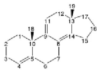 Figure 3: Noyau androstane des androgènes [13] 
