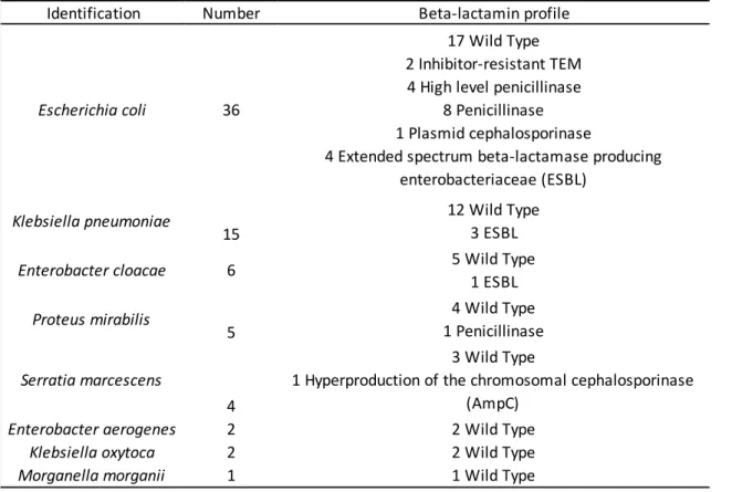 Table 2 :  Liste des différentes espèces bactériennes de l’étude avec leurs profils de résistances  par rapport aux bêta-lactamines 